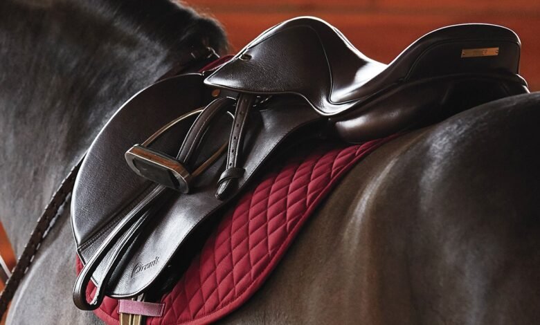 Perfect Saddle for Your Riding Style